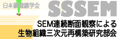 Link to SSSEM